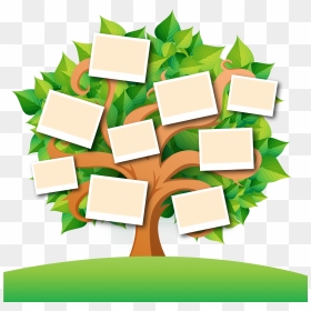 Family Tree Transparent Images Png - Family Tree Transparent Background Tree Clipart, Png Download - family tree png