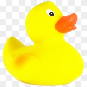 Rubber Duck Png Free Pic - Parque Natural Do Sudoeste Alentejano E Costa Vicentina, Transparent Png - rubber duck png