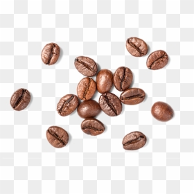 Coffee Bean Top View Png, Transparent Png - coffee bean png