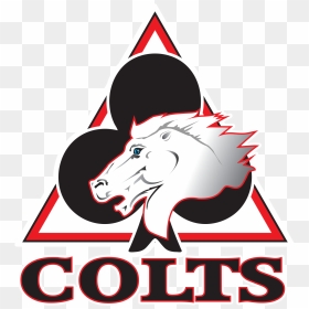 Belle Vue Colts Revealed, HD Png Download - colts logo png