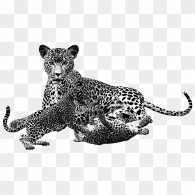 Leopard Png Black And White Transparent Leopard Black - Cheetah Cub Png, Png Download - leopard png