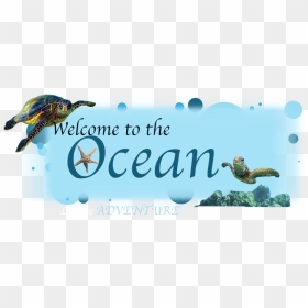 Ocean Twitter Header With Transparent Background - Online Advertising, HD Png Download - twitter png transparent