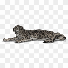 Full Image Of The Snow Leppy Decor By Rixon - Snow Leopard Transparent Background, HD Png Download - leopard png