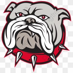 Transparent Cartoon Bulldog Head Png Format Image With - Bayard School Logo, Png Download - bulldog png