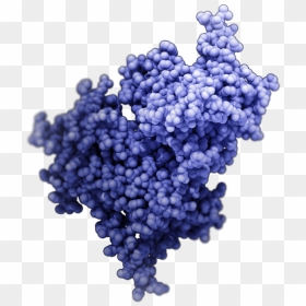 Seedless Fruit, HD Png Download - drugs png