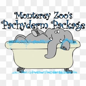 Pachyderm Package Logo - Elephant In Bathtub, HD Png Download - bathtub png