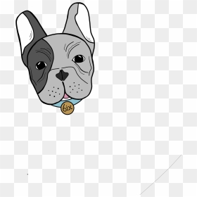 French Bulldog , Png Download - French Bulldog, Transparent Png - bulldog png
