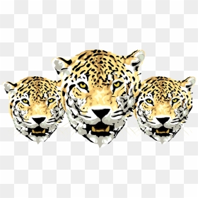 Jaguar Animal Drawing, HD Png Download - leopard png