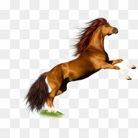 Thumb Image - Horse Png, Transparent Png - horses png