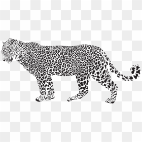 Jaguar Silhouette Png Transparent Clip Art Image - Leopard Black And White, Png Download - leopard png