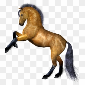 Best Free Horse Icon - Horse Png, Transparent Png - horses png