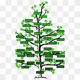 Clip Art Free Stock Name Clipart Family Tree - Family Tree Of The Fosters, HD Png Download - family tree png
