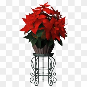 Thumb Image - Stand With Flower Pot Png, Transparent Png - flower stand png