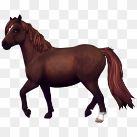 Star Stable Transparent Horse - Jorvik Starter Pony Star Stable, HD Png Download - horses png