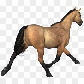 Horses Brown Horse Rear View - Horse Brown Png, Transparent Png - horses png