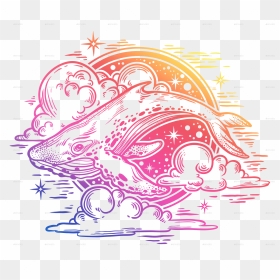 Whale With Night Sky - Illustration, HD Png Download - night sky png