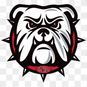 Bulldog Vector - North Gwinnett Bulldogs Logo, HD Png Download - bulldog png