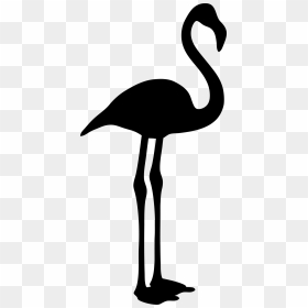 Pink Flamingo Black And White, HD Png Download - black and white png