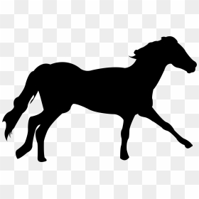 Mustang Clydesdale Horse Arabian Horse Dartmoor Pony - Clydesdale Transparent Png, Png Download - horses png