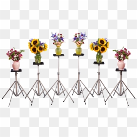 Mortuary Flower Stand - Flower Vase Stand Png, Transparent Png - flower stand png