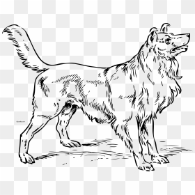 Dog Clip Art, HD Png Download - black and white png