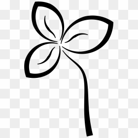 Flower Black And White For Desktop Background 13 Hd - Clip Art, HD Png Download - black and white png