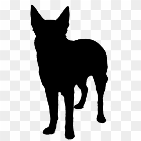 Dog Breed Can Stock Photo Silhouette Image Siberian - Buck Boer Goat Silhouette, HD Png Download - husky png