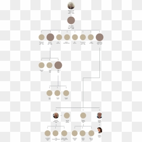 Diagram, HD Png Download - family tree png