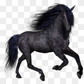Horse Clip Art - Transparent Black Horse Png, Png Download - horses png