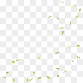 Google Images Search Engine Leaf Deciduous - Envolée De Feuilles Dessin, HD Png Download - falling green leaves png