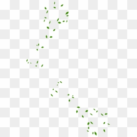 Maple Leaf Green - Art, HD Png Download - falling green leaves png