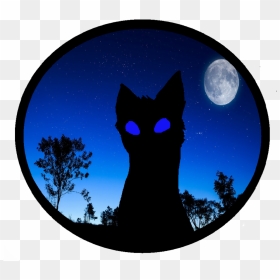 Cat Dog Wallpaper - 满月 高清, HD Png Download - night sky png