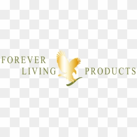 Forever Living Products Logo, HD Png Download - eagle logo design black and white png
