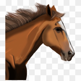Horse Png - Head White Horse Png, Transparent Png - horses png