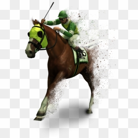 Transparent Horses Png - Transparent Race Horse Png, Png Download - horses png