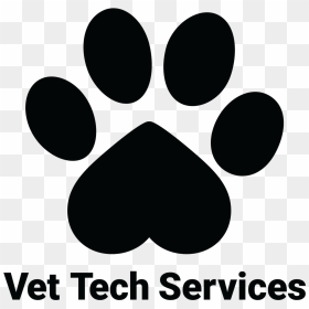 Help In Mexico Vet - Circle, HD Png Download - tech png