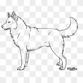Siberian Husky Outline Drawing - Easy Siberian Husky Sketch, HD Png Download - husky png