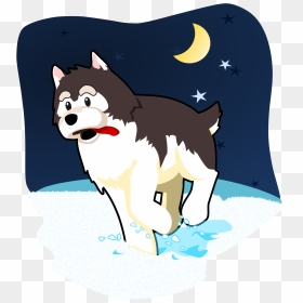 Husky Playing In The Snow Clip Arts - Siberian Husky, HD Png Download - husky png