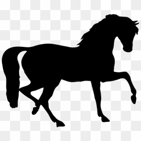 Black Horses Clipart Stock Download Free Png Black - Transparent Clipart Horses, Png Download - horses png