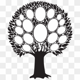 Family Tree Photo Frame Png , Png Download - Family Tree Photo Frame Png, Transparent Png - family tree png