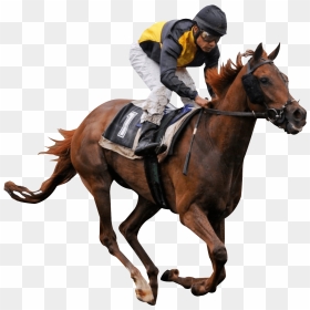 Race Horse Clip Arts - Horse Race Png, Transparent Png - horses png