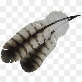 Indian Feather Png - Transparent Background Feathers, Png Download - single peacock feathers png