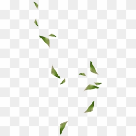 #mq #green #leaf #leaves #falling #decoration #background, HD Png Download - falling green leaves png
