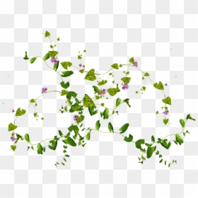 Green Leaves Png Pic - Plants In Wall Png, Transparent Png - falling green leaves png