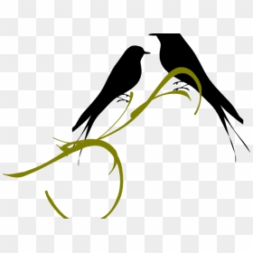 Transparent Love Birds Png - Love Birds Transparent Background, Png Download - birds png hd