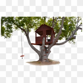 Transparent Tree Swing Png - Transparent Tree House Background, Png Download - png tree images with transparent background