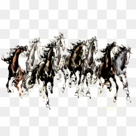 White Dragon Horse Painter - Horse Herd Png, Transparent Png - horses png