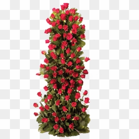 Thumb Image - Red Rose Bush Png, Transparent Png - flower plant top view png