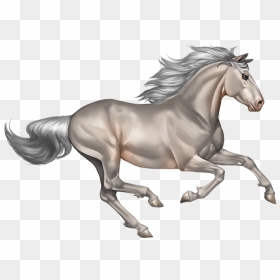Transparent Background Horse Clipart, HD Png Download - horses png