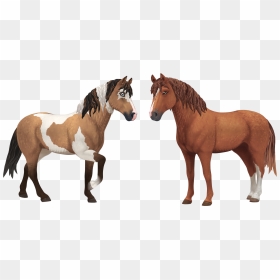 Star Stable Curly Horse, HD Png Download - horses png